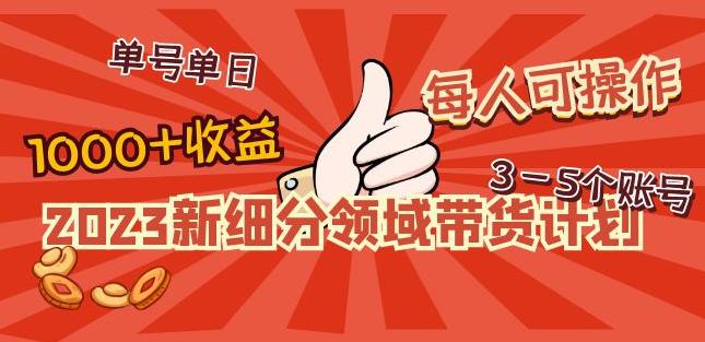 023新细分领域带货计划：单号单日1000+收益不难，每人可操作3-5个账号"